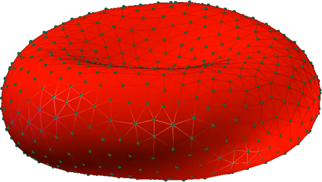 Triangulated 3D surface mesh of a red blood cell