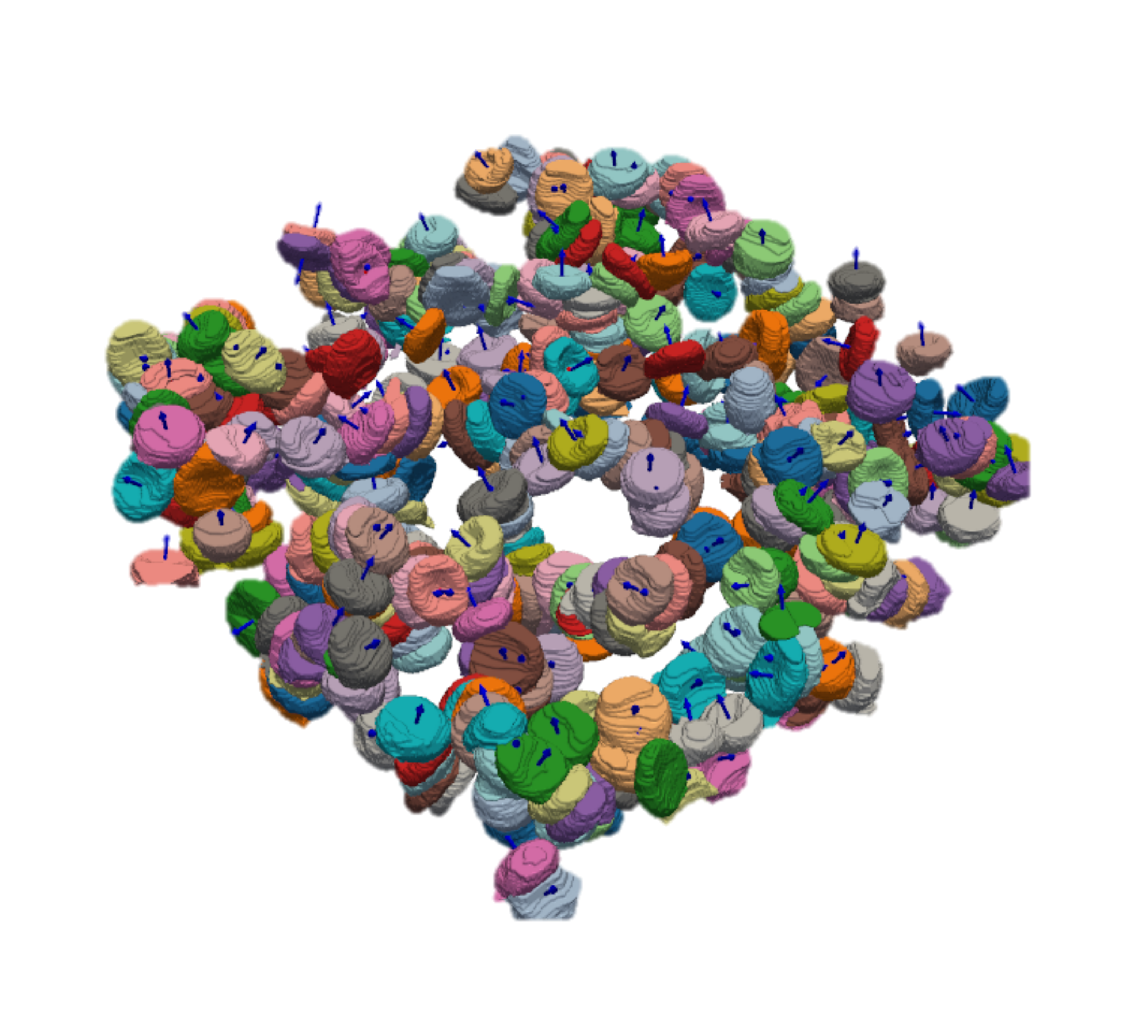 3D reconstruction of a percolating cluster of red blood cells