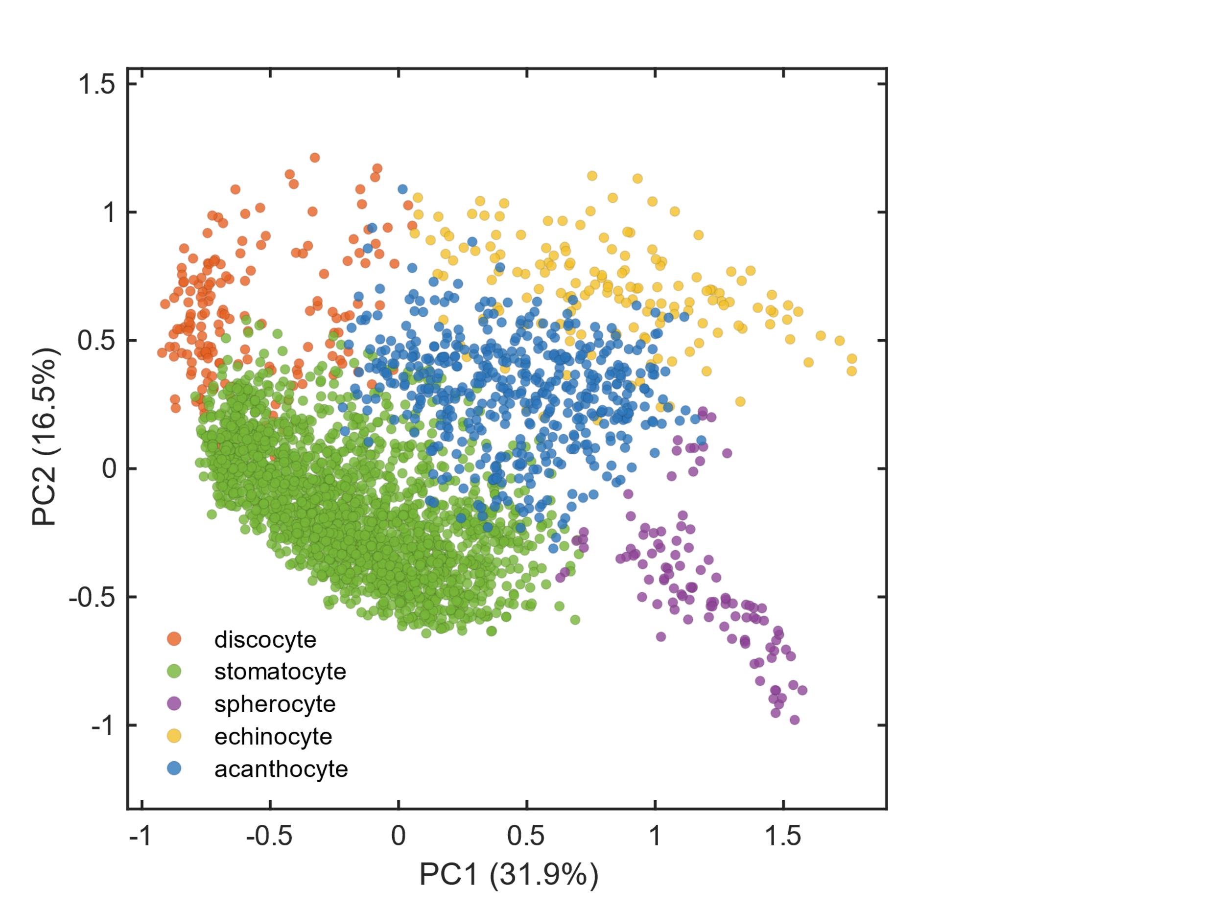 PCA scatter of red blood cell shape classes