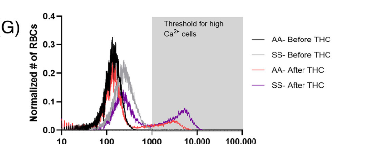 Fluo-4 calcium histogram: sickle red cells shift into the high-calcium range after THC