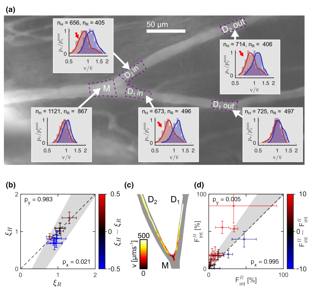 Flow and geometry analysis at a vessel bifurcation with velocity histograms