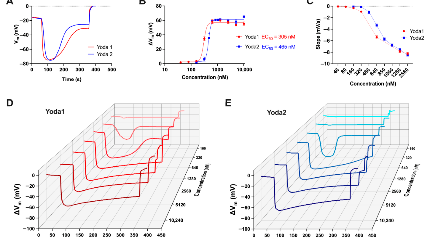 Yoda1 and Yoda2 dose-response curves